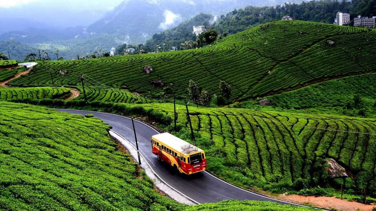 You also have to walk around on these beautiful hill stations, you will get relaxed