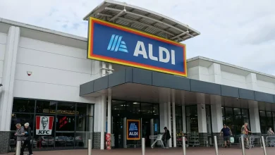 Aldi Shoppers Praise ‘Perfect’ £ 7 Item’s ‘Fantastic for Days Out and Picnics’ – ryan