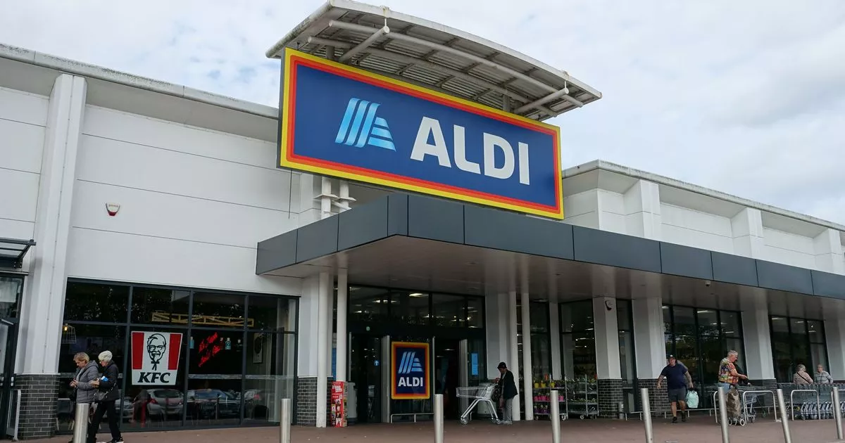 Aldi Shoppers Praise ‘Perfect’ £ 7 Item’s ‘Fantastic for Days Out and Picnics’ – ryan
