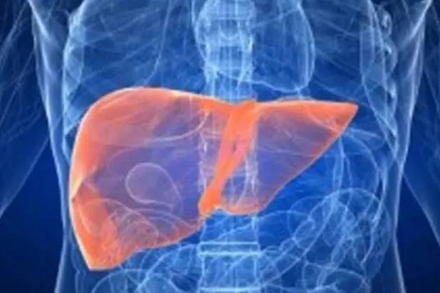 5 أطعمة مُضرّة بالكبد… توقف عن تناولها