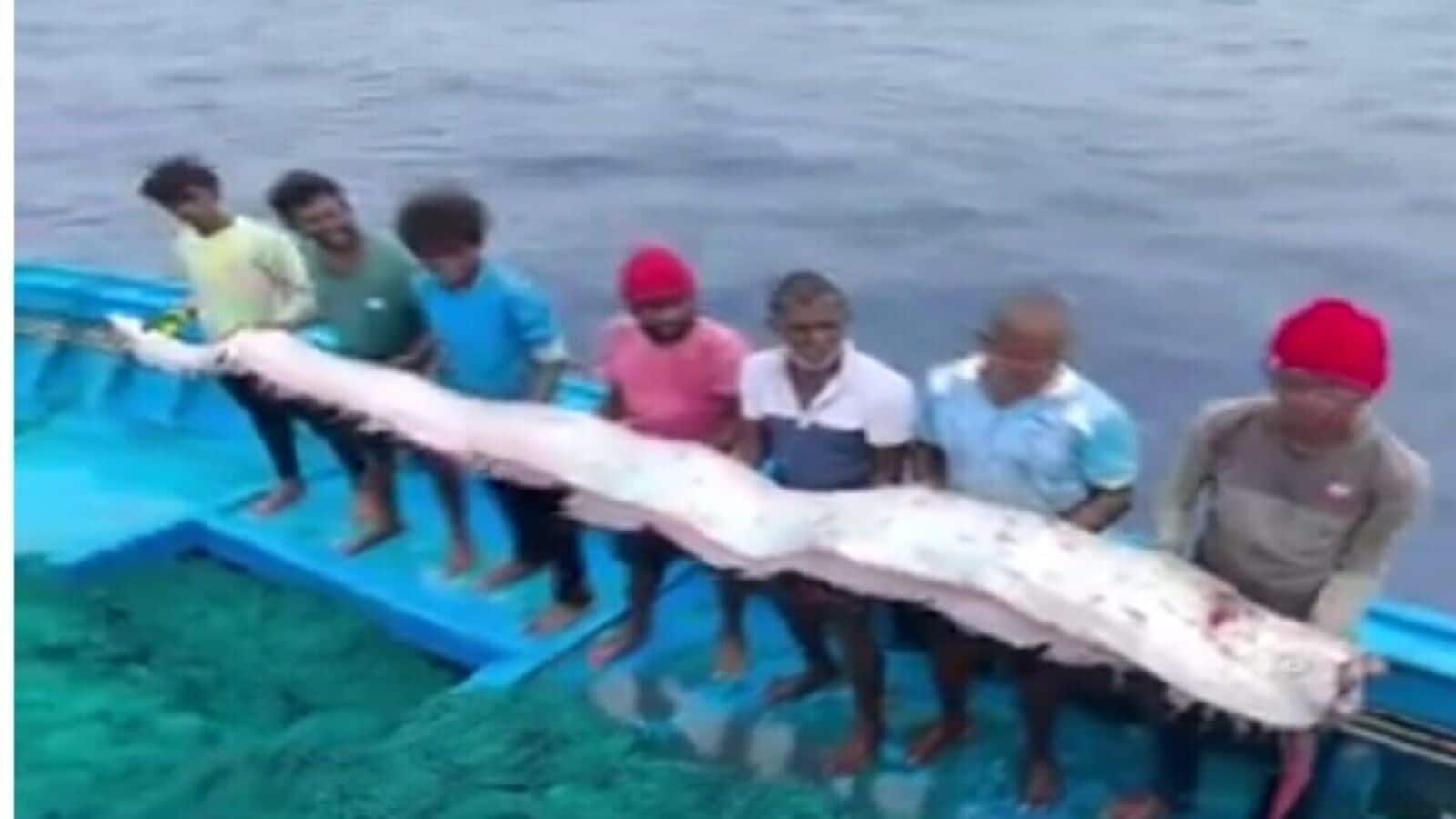 ‘Doomsday Fish’ observations are rising worldwide: Hartinger or Disaster or Deep Sea Mystery? | Today news