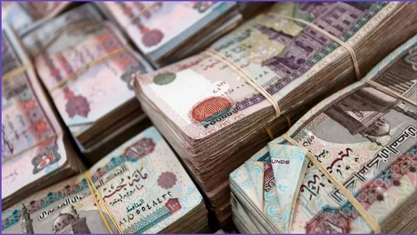 إقبال-تاريخي-علي-البنوك-بعد-إصدار-شهادات-الادخار-الأعلى-عائدا-في-مصر-لعام-2025-بعد-خفض-أسعار-الفائدة-تحقل-شهريي-مضمون