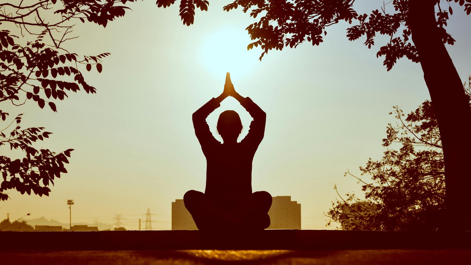International Yoga Day 2025: What is Yoga Sangam, how to register? Answer all questions | Today news