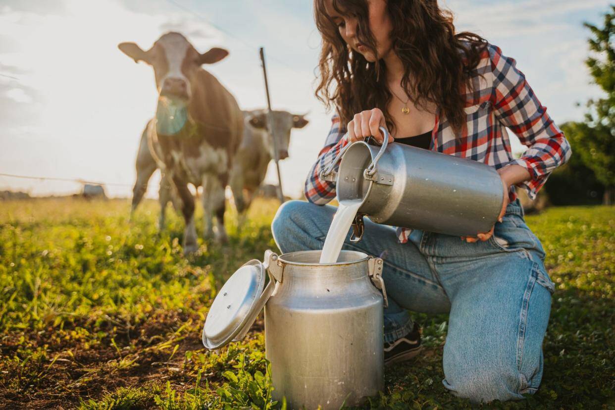 Milk was made, but the delivery people sent such a thing as your mind would also be spoiled