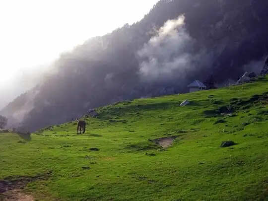 Don’t forget to visit these beautiful hill stations around Amritsar