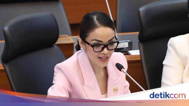 Member of the House of Representatives Commission I fully support the TNI evacuation of Indonesian citizens in Iran-Israel