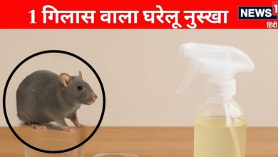 Have a rat -old 1 -glass way to escape, this means of yoga guru kailash will expose the mice within minutes!
