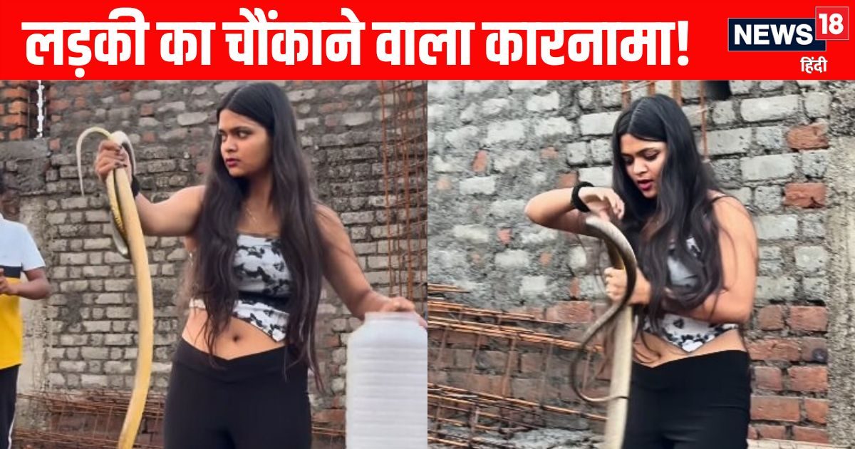 “It’s a desirable snake!” The girl who came to catch snakes was by hand, people were shocked!