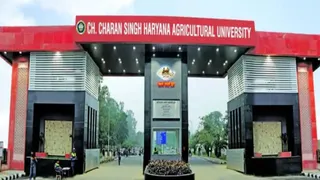 The government has formed a committee of ministers to resolve the dispute of Haryana Agricultural University -Nayab government has formed a committee of ministers to resolve the dispute of Haryana Agricultural University