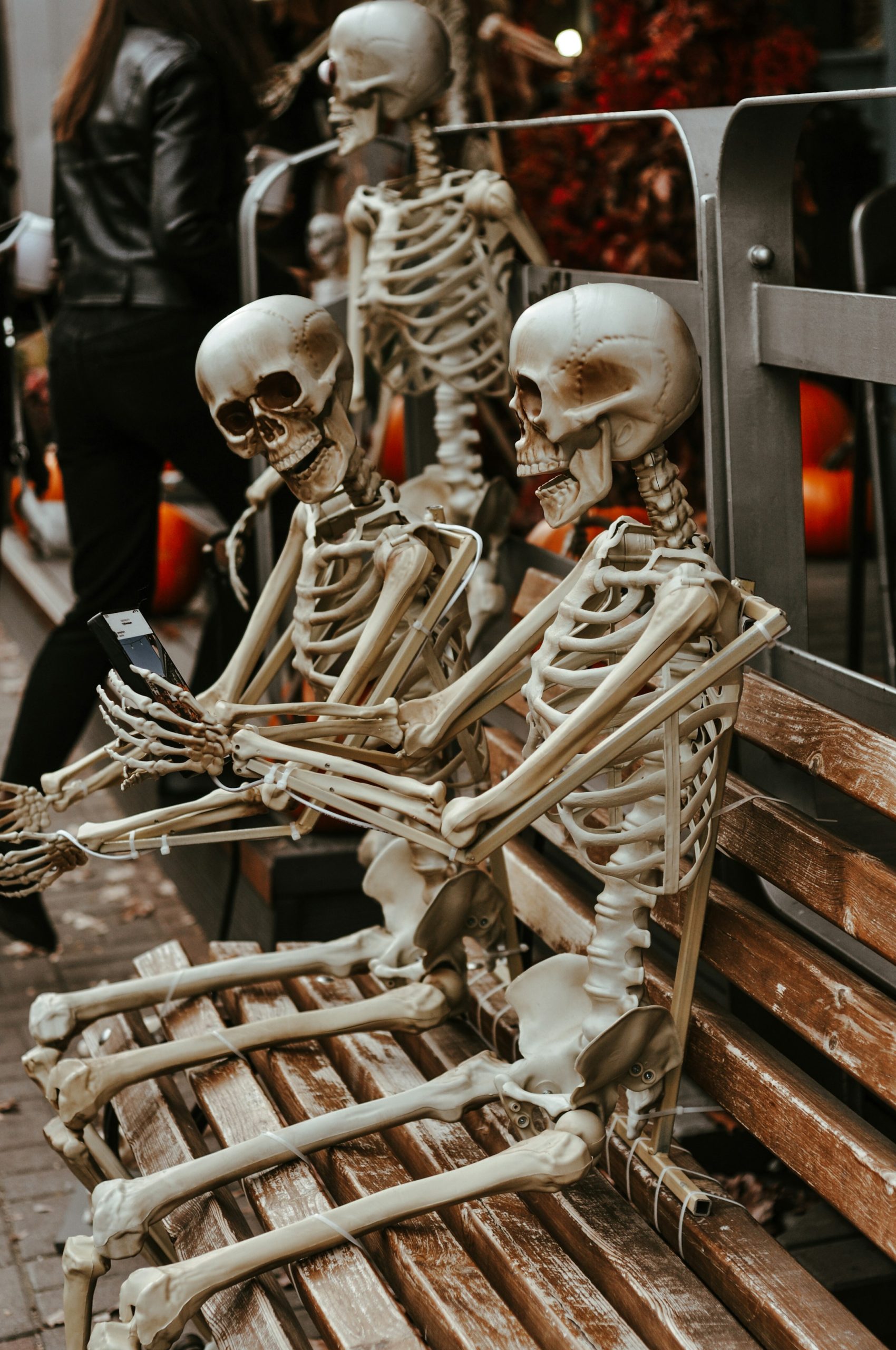 Where is the latest body of the body?