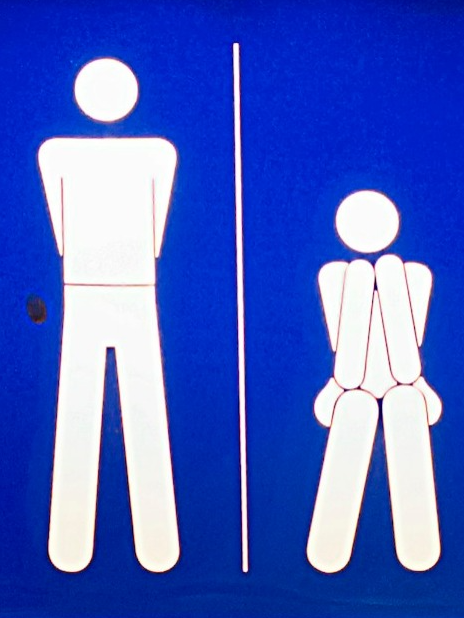 Countries with gender neutral toilet