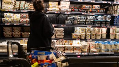 CPI INCREASED 2.4%, Below the Forecast – ryan