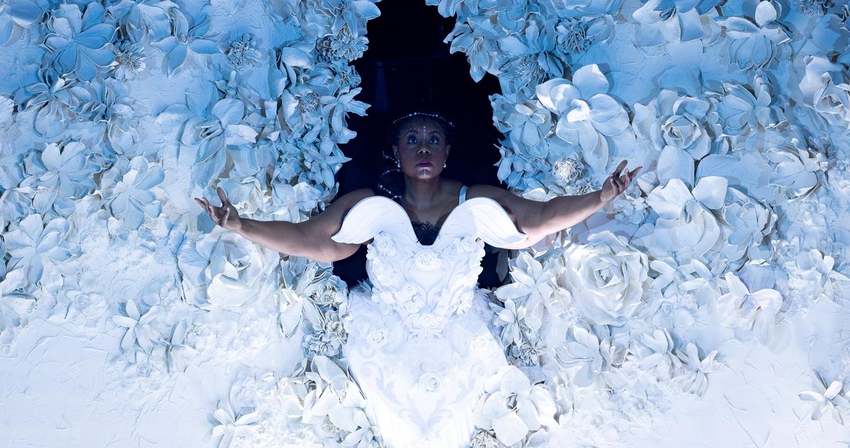 the-reverse-circulate-double-imaginative-and-prescient-of-‘the-comet/poppea’