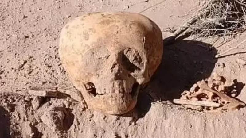 شبيهة-بـ-“رجال-النمل”-والفضائين.-العثور-على-جمة-تثير-دهشة-العلماء