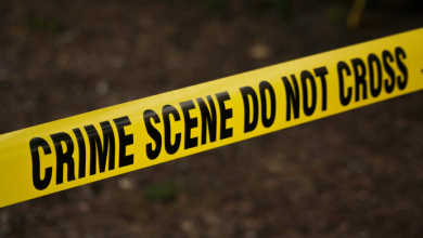 Boy became a ladies dancer, made a pornographic video of two youths and then the secret to killing two friends like this