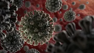 In Bhopal, 28 patients from new variants of Corona with have no serious under the infected; Know what the doctor said – 28 patients new variant Corona Bhopal none of the infected is serious