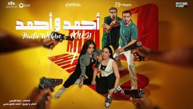 تطور جديد في أزمة منع هيفاء وهبي من الغناء في مصر..