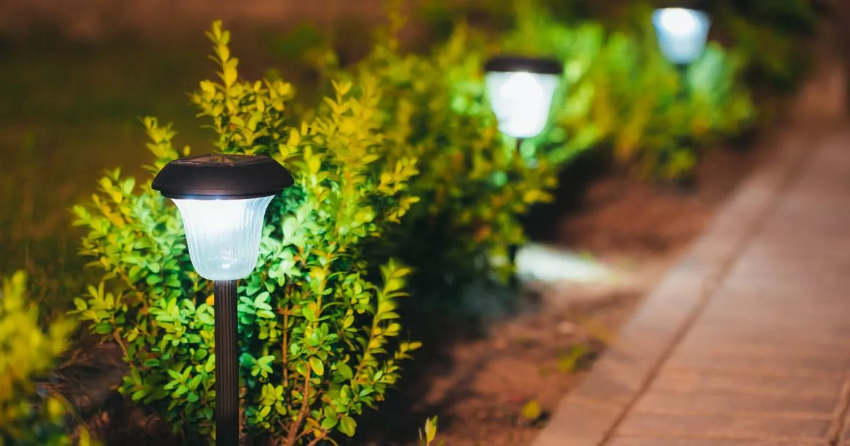 urgent-warning-to-anyone-who-has-solar-powered-lights-in-the-backyard