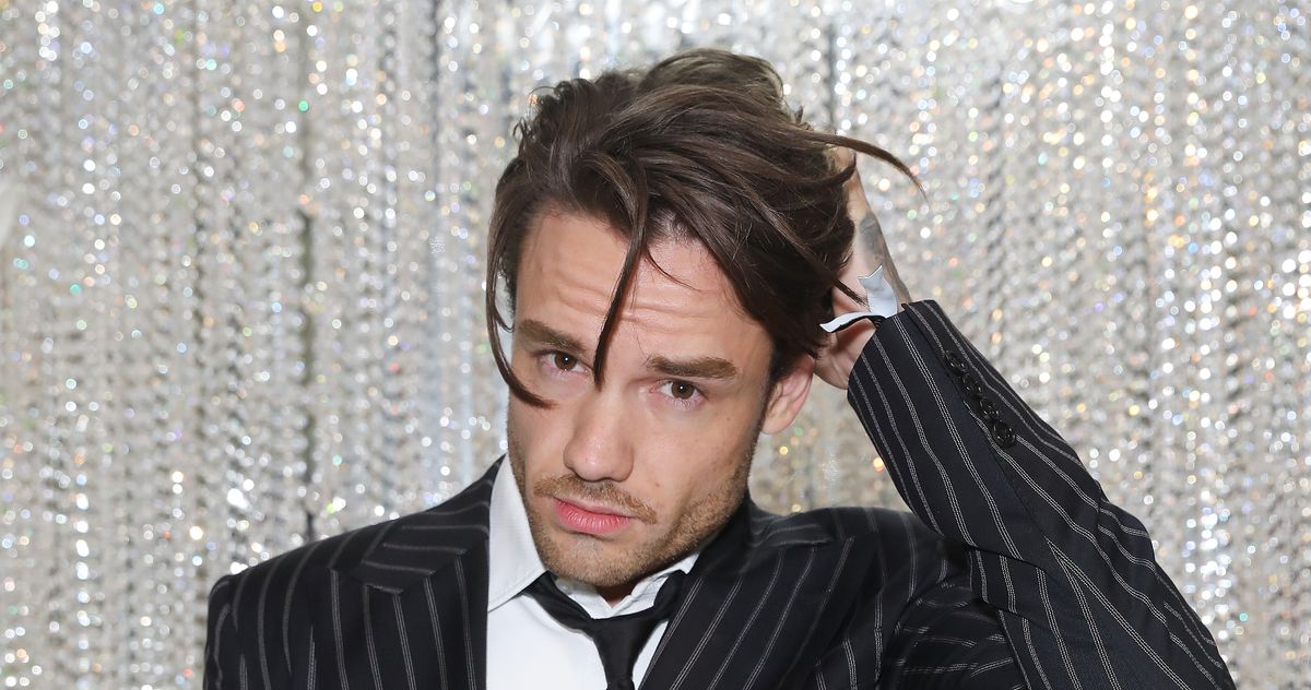 Liam Payne Appears in Netflix’s ‘Building The Band’ Trailer – ryan