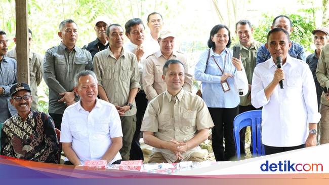 The Ministry of Forestry encourages the pattern of economic aisle in 3 central sulawesi transmigration areas to