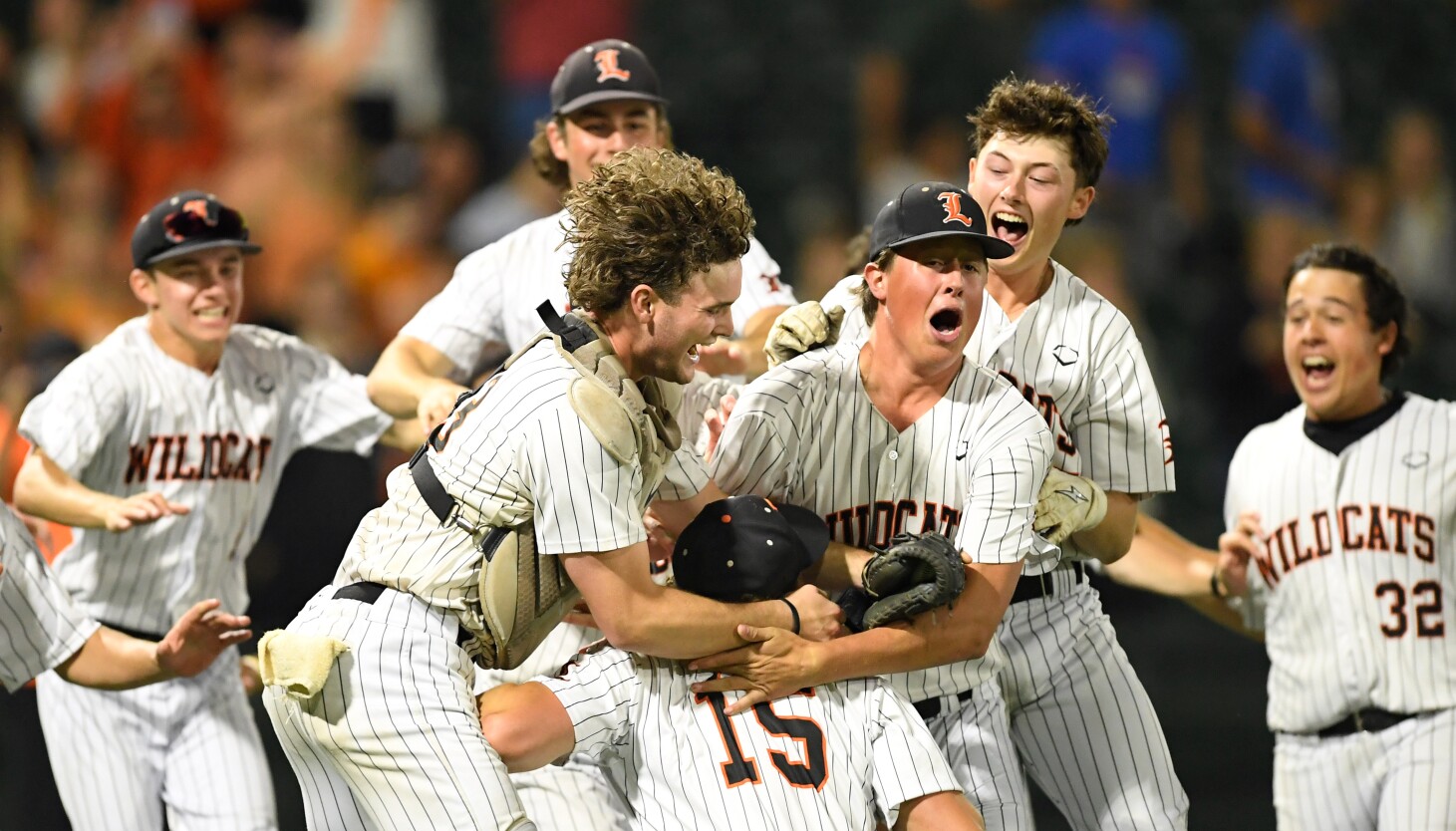 Josh Holst’s Complete-Game Gem Leads Libertyville to the Class 4a State Title – ryan