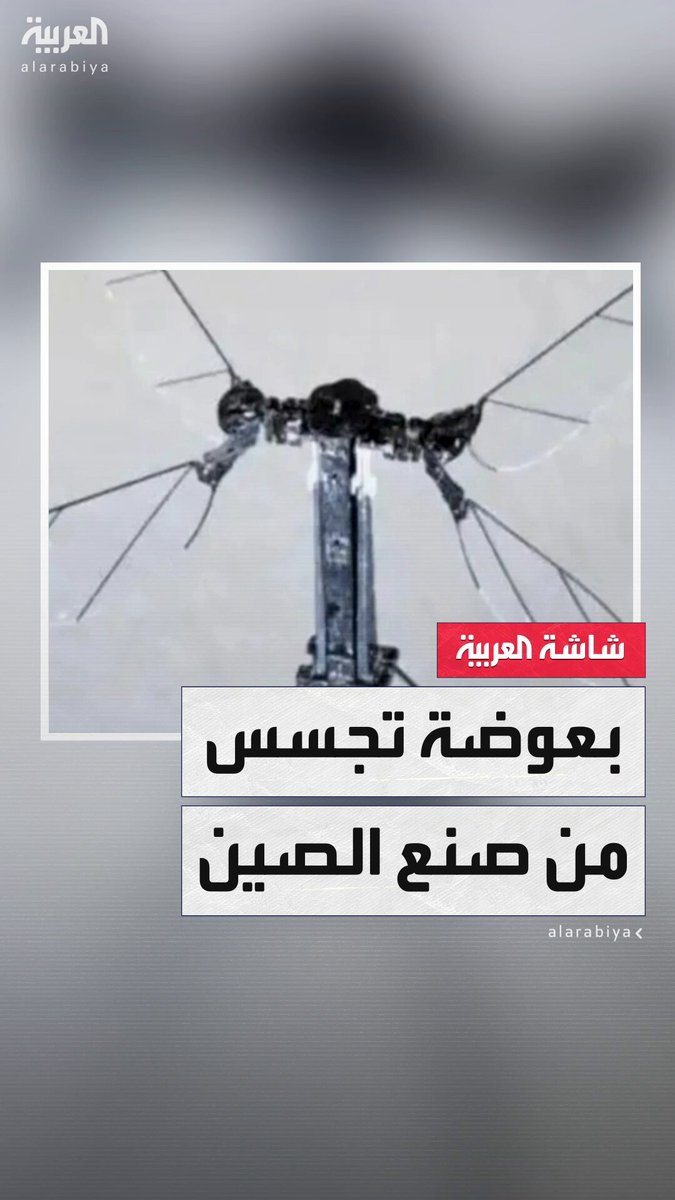 الصين تطور طائرة تجسس بحجم بعوضة مزوّدة بكاميرات وميكروفونات دقيقة لجمع المعلومات في العمليات…