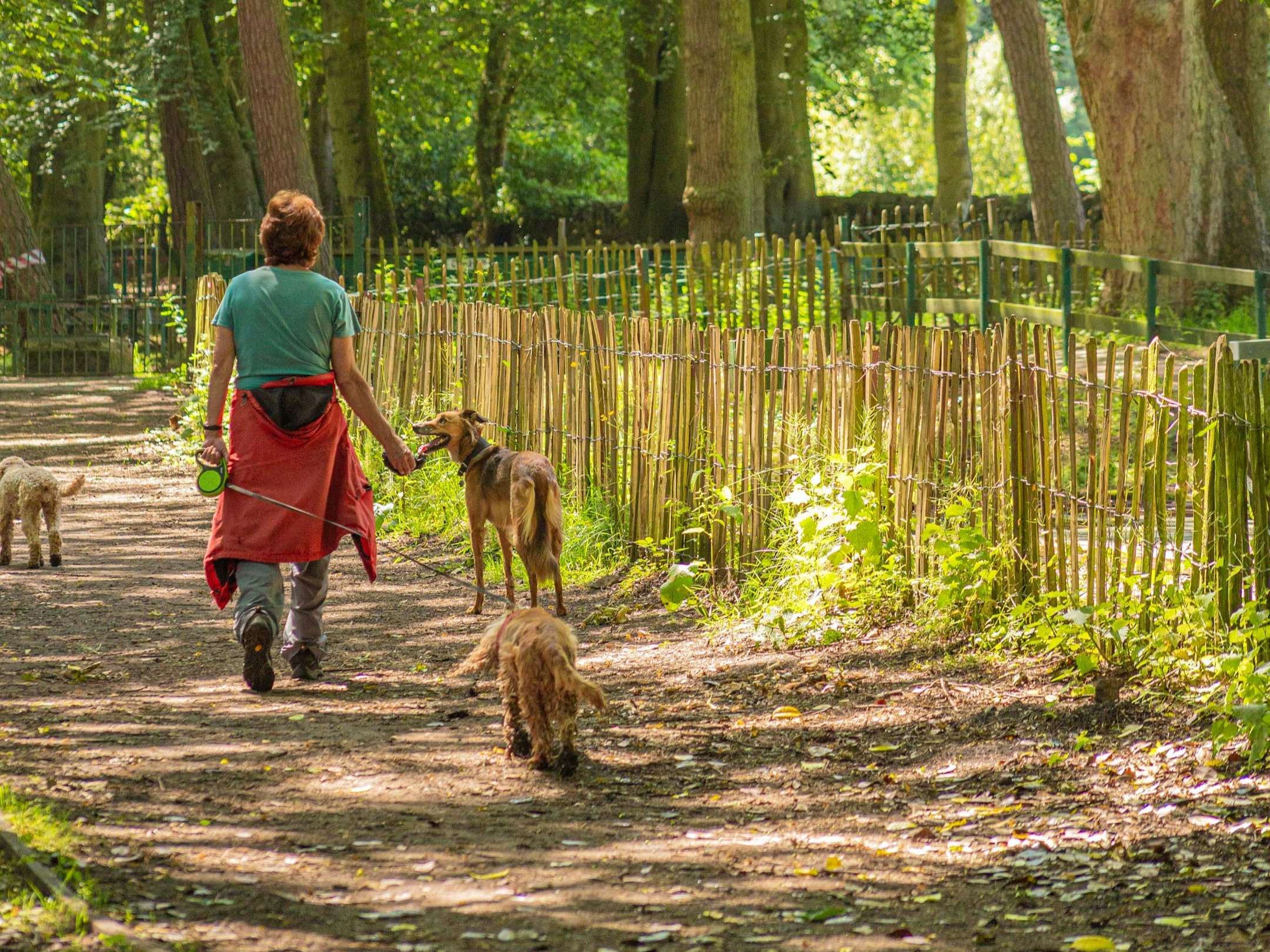 8 Benefits of hikes daily