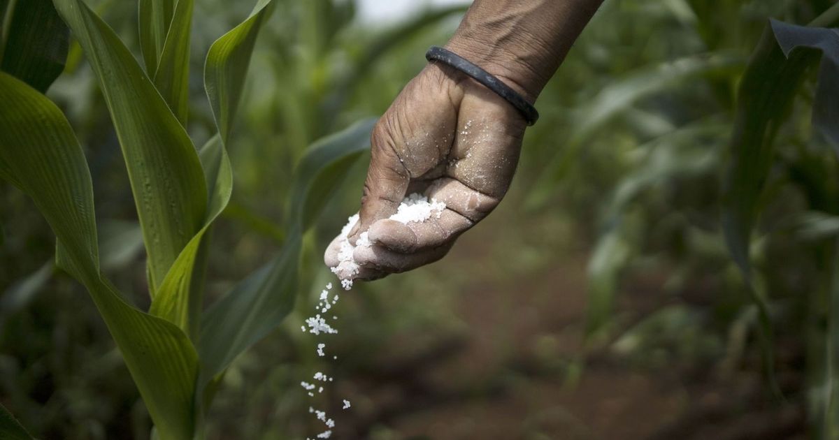 China is on its way to reduce the ban on exporting urea fertilizer and expected support
