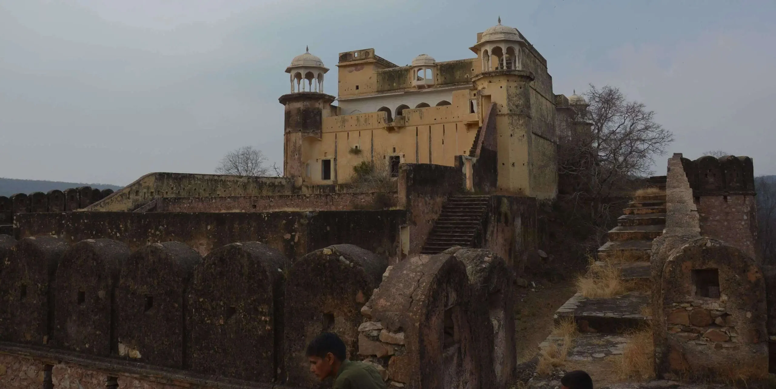 Kankwadi -Fort located between Sariska Tiger Reserve! Where Dara Shikoh was in jail, saw the horrible history of the fort in viral footage