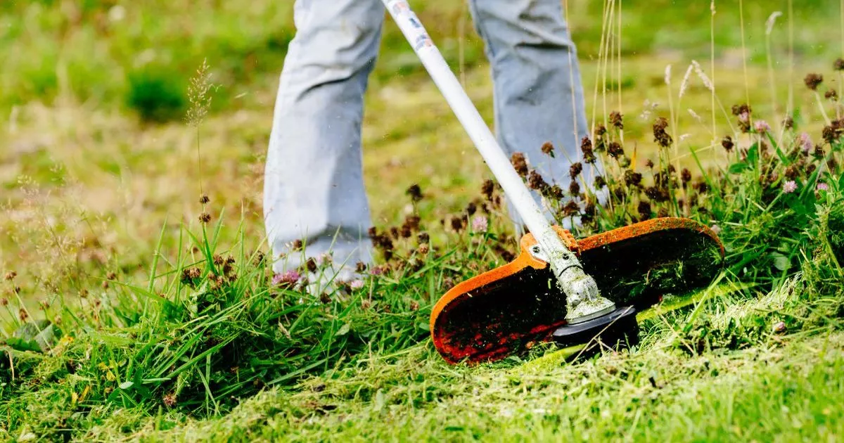 ‘Very Effective’ Cordless Strimmer ‘Easily Slices Through Overgrown Grass’ Hits Sale with 20% off – ryan
