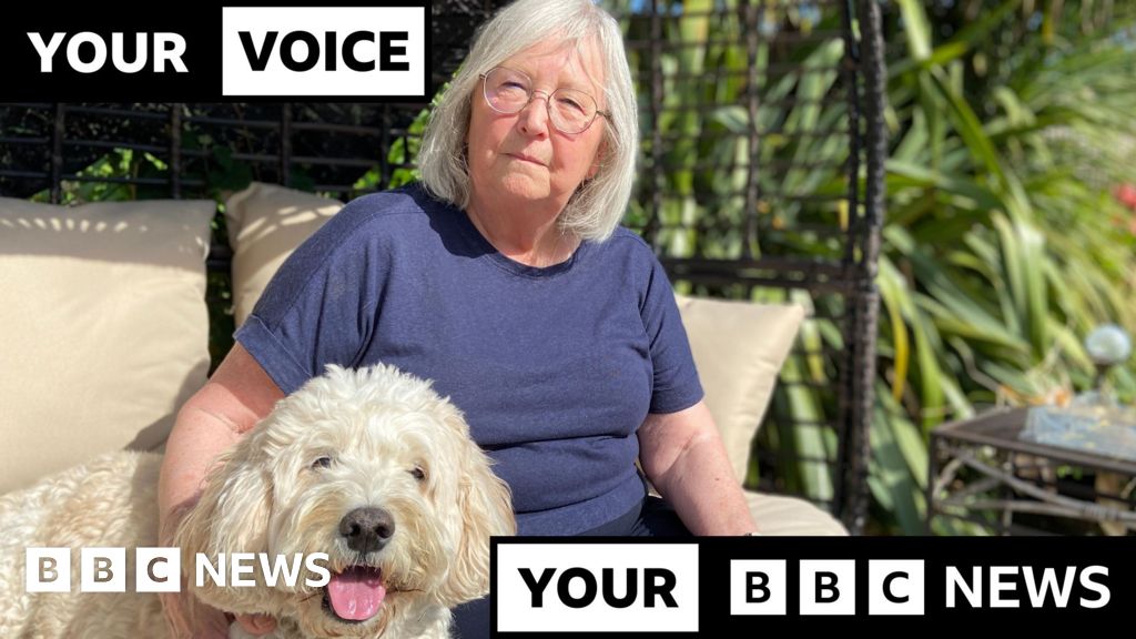 more-pets-being-build-down-attributable-to-rising-costs,-bbc-suggested
