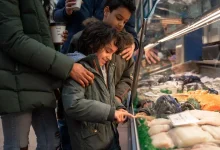 predominant-grocery-store-with-900-stoles-to-shut-contrivance-in-weeks-after-string-of-cluses