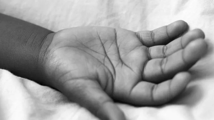 Punjab News: A 13 -year -old girl died due to snake bite in Khanna, slept with brother at night -the 13 -year -old girl dies of snake in Khanna slept with her brother at night