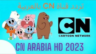 تنزيل-ملف-قنوات-النايل-سات-وعرب-سات.