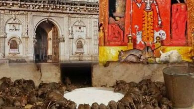 Know the secret of galla ji -temple in this 3 -minute legend