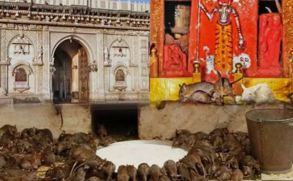Know the secret of galla ji -temple in this 3 -minute legend