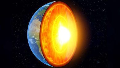 Do you know the reason for the round of the earth, if not, you will also be surprised to know
