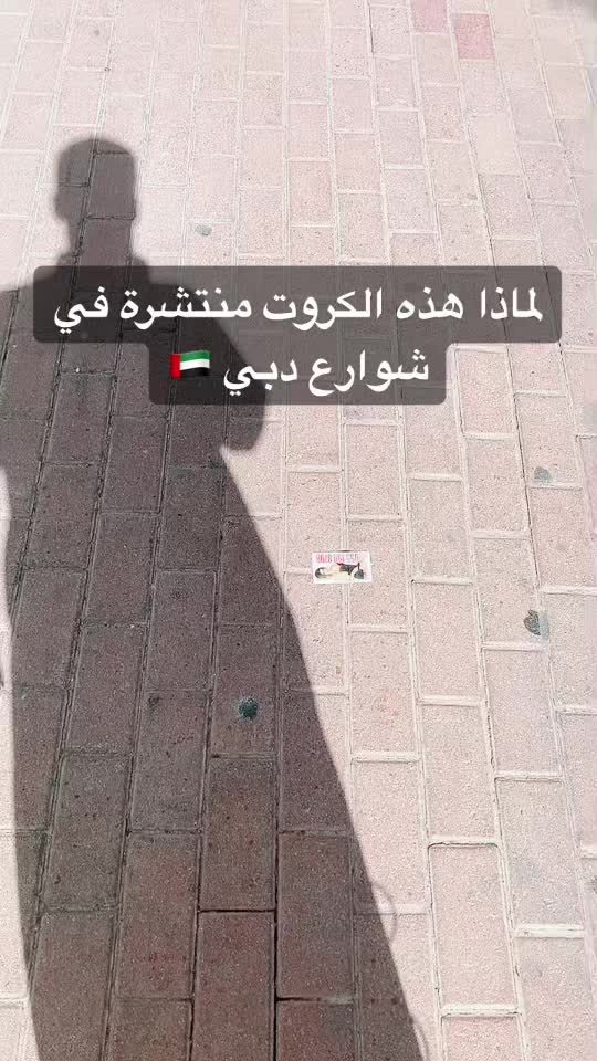 #دبي #الاماات #الإمارات #سياحة #سفر #المسافر_الذكي #كروت #dubai … – ryan