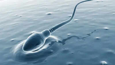 How to break up the third line of human sperm Newton: a shocking discovery
