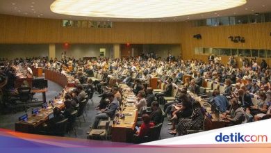International Parliamentary Day 30 June 2025: Themes and Celebration Action