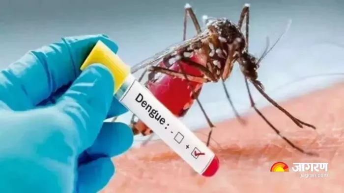Private hospitals will not be able to take more than Rs 600 for Dengue testing, free test will be done at the State Hospital -Private Hospitals ask no more than Rs 600 for Dengue test