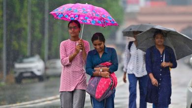 Monsoon covers the entire India, heavy rain probably in most regions in the coming days | Today news