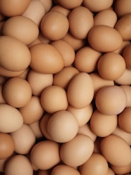 People of these countries eat the most eggs
