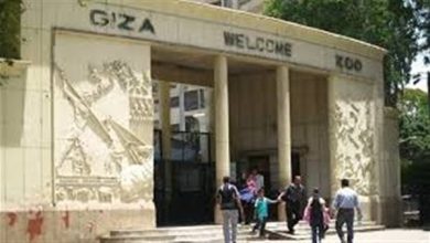 حقيقة-زيادة-أسعار-دخول-حديقة-الحيوان-ل-conf