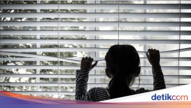 Minister of PPPA reveals violence of women and children translucent 13.845 matters