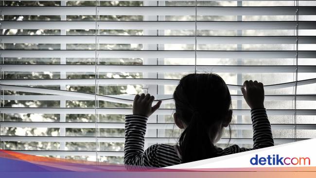 Minister of PPPA reveals violence of women and children translucent 13.845 matters
