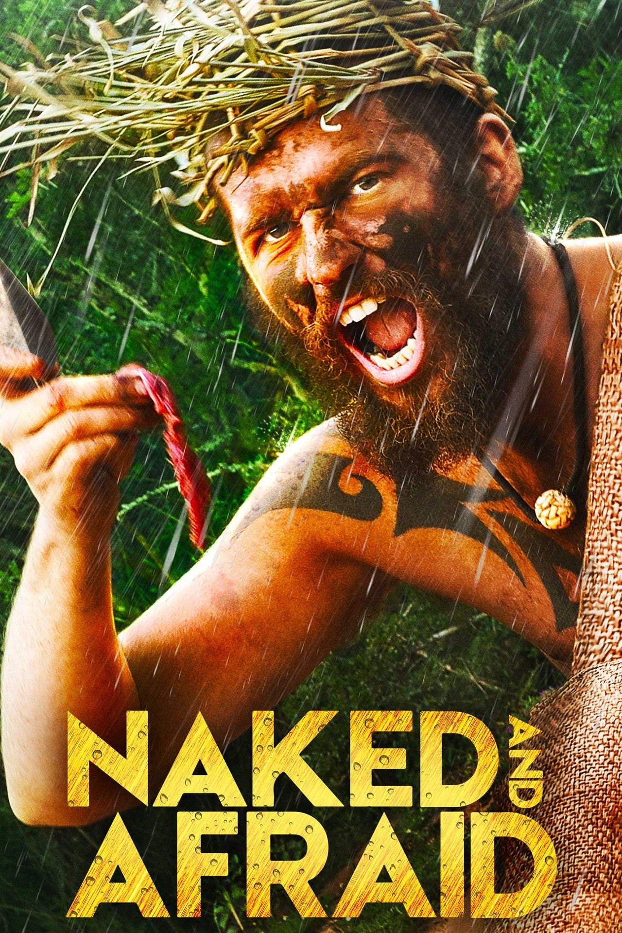 Latest News, Cast, Premiere Date & Everything We Know – ryan