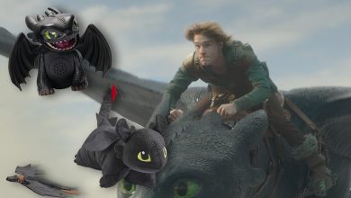 learn-how-to-educate-your-dragon-merch-you-can-aquire-now!