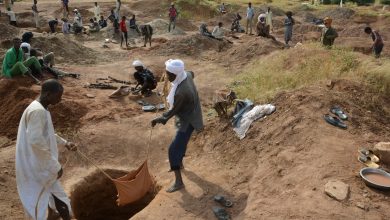eleven-killed-in-sudan-gold-mine-collaps-as-civil-battle-rages-|-sudan-battle-recordsdata