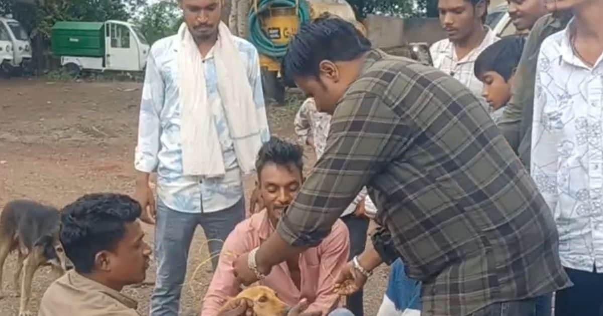 Ratlam News: villagers tanj on the system, dog worn wreath, handy memorandum